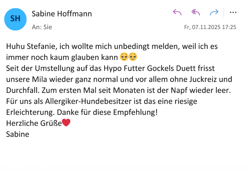 Anifit E-Mail Testimonial 2